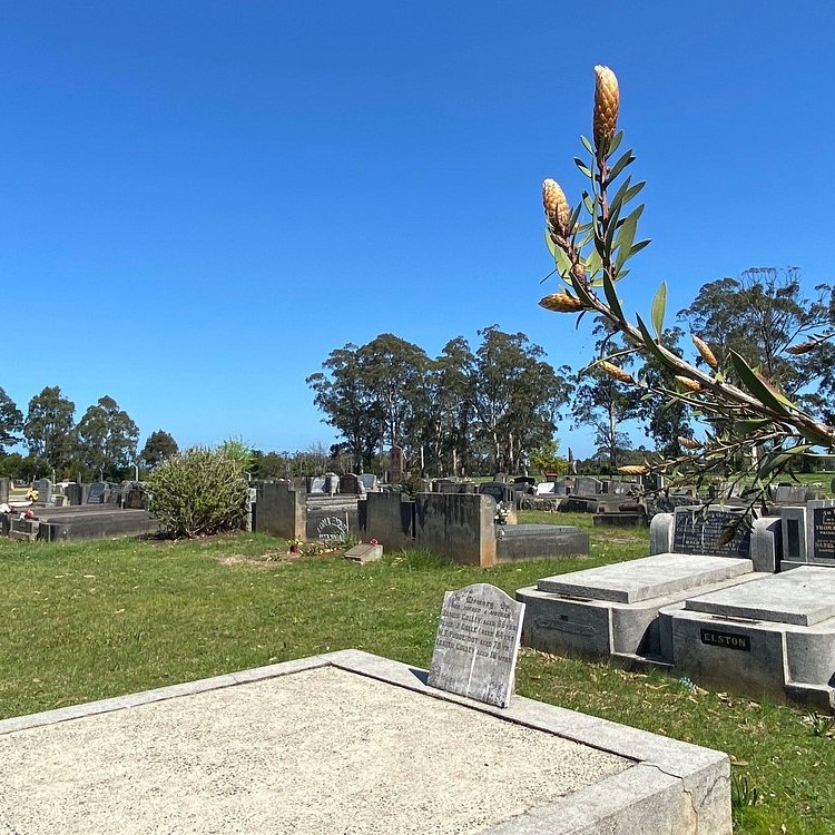 cemetery (7)